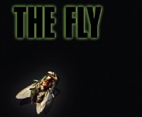 “On The Fly” Part Four: Redux